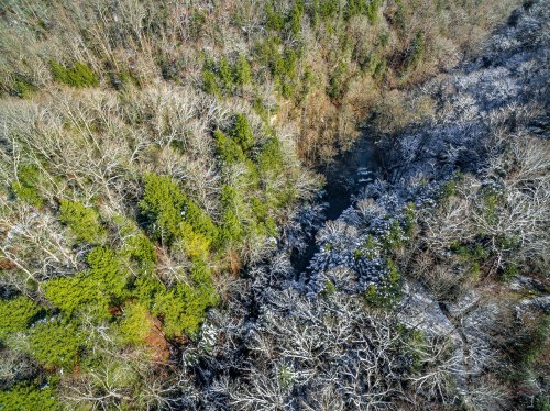 Aerial view of a forest with a river, showcasing a mix of evergreen and bare trees, some dusted with snow.