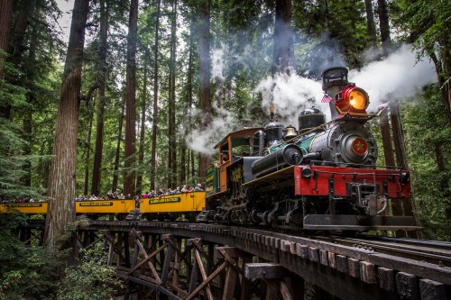 A steam train travels on a wooden bridge through tall redwood trees, with passengers enjoying the scenic ride.