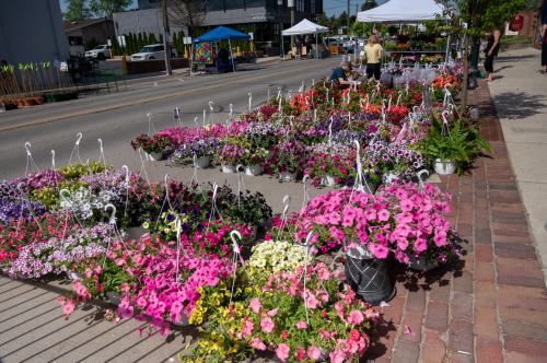 A vibrant street market display featuring colorful hanging flower baskets and potted plants along the sidewalk.