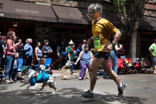 A man in a yellow shirt runs with a dog in a blue shirt, surrounded by a cheering crowd on a sunny street.