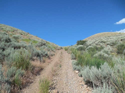 A dirt path winds through grassy hills under a clear blue sky, surrounded by shrubs and sparse vegetation.