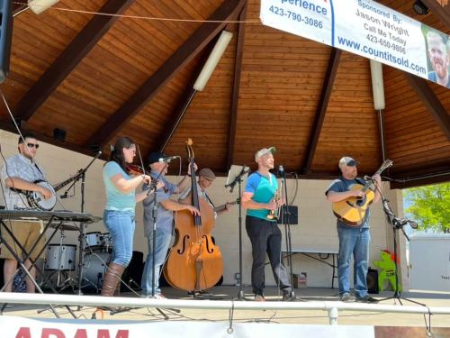 A band performs on stage with various instruments, including a banjo, fiddle, and guitar, in a sunny outdoor setting.