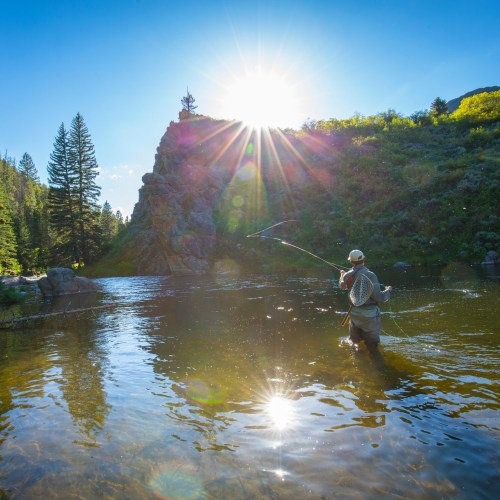 A person fly fishing in a serene river, surrounded by trees and mountains, with sunlight reflecting on the water.