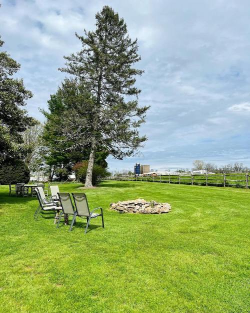 A grassy area with chairs arranged around a stone fire pit, a tall tree, and a distant building under a cloudy sky.