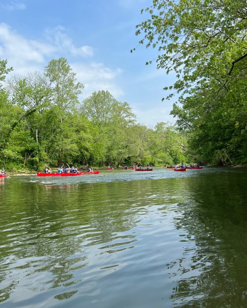 A serene river scene with kayakers in red boats surrounded by lush green trees and a clear blue sky.