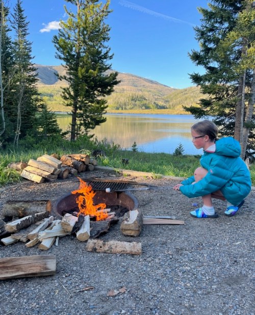 A child in a teal jacket roasts marshmallows over a campfire by a lake, surrounded by trees and mountains.