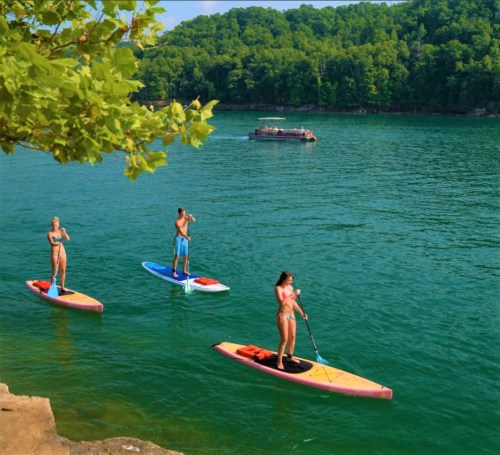 Three people paddleboarding on a calm lake, surrounded by green trees and a boat in the background.