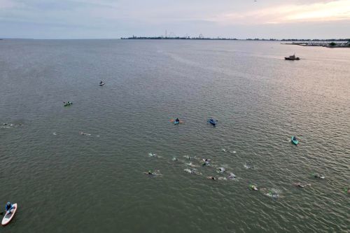 Aerial view of swimmers and paddleboarders in a calm body of water during sunset.
