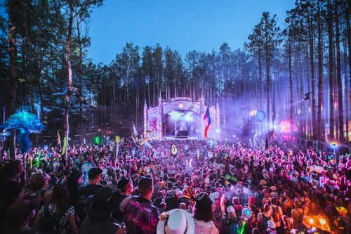 A vibrant crowd at a music festival in a forest, illuminated by colorful lights and surrounded by tall trees.