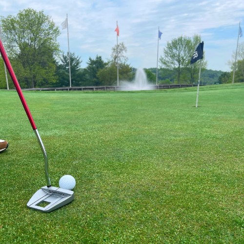A golfer's putter is poised near a white golf ball on a green, with a fountain and flags in the background.