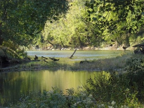 A serene river scene surrounded by lush green trees and reflections on the water's surface.