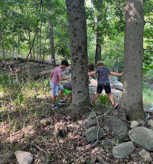 Three children play in a wooded area, exploring around trees and rocks on a sunny day.