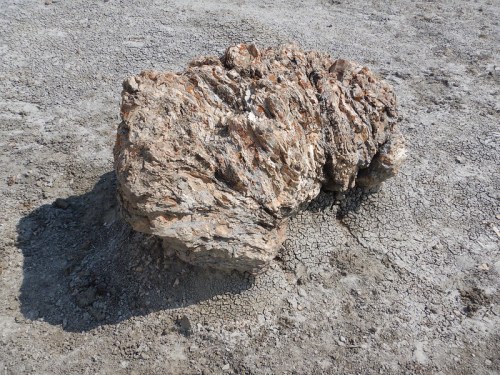 A large, rough rock sits on cracked, dry ground, showcasing its textured surface and natural colors.