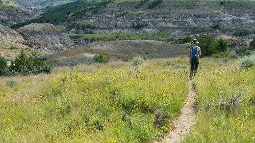 A person walks along a dirt path through a grassy field with wildflowers, surrounded by rolling hills and valleys.