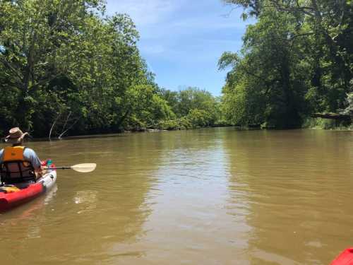 A person in a kayak paddles down a calm river surrounded by lush green trees under a clear blue sky.