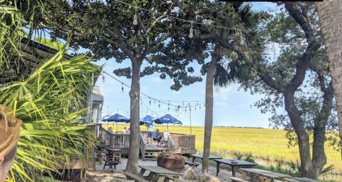A scenic outdoor area with picnic tables, string lights, and umbrellas overlooking a grassy field and blue sky.