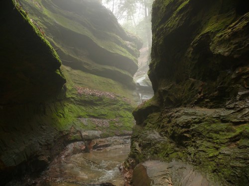 A misty canyon with steep, moss-covered rock walls and a narrow stream running through the bottom.