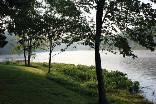 A serene lakeside scene with trees, lush greenery, and calm water reflecting the morning light.