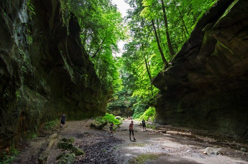A lush green canyon with towering rock walls, people exploring the sandy floor under a bright blue sky.
