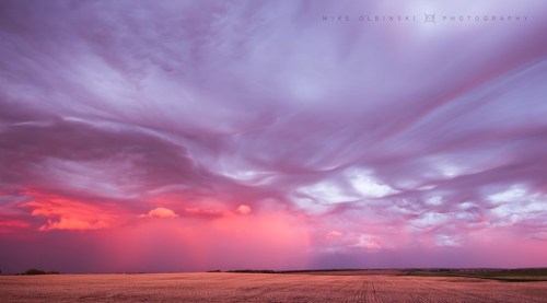 Vibrant sunset clouds in shades of purple and pink over a vast, open field.
