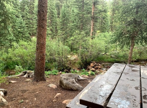 A serene forest scene with a wooden picnic table, surrounded by lush greenery and a small stream.