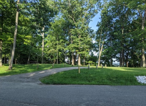 A winding gravel path through a lush green park with tall trees and a clear blue sky.