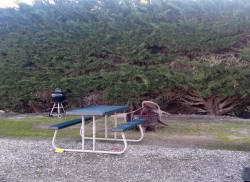 A picnic table and a grill are set against a dense green hedge in a gravel area.
