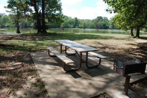 A picnic table and grill by a serene lake, surrounded by trees and greenery on a sunny day.