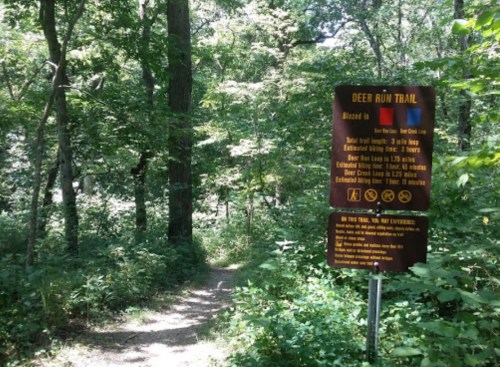 A wooded trail with a sign detailing the Deer Run Trail's length and difficulty, surrounded by lush greenery.