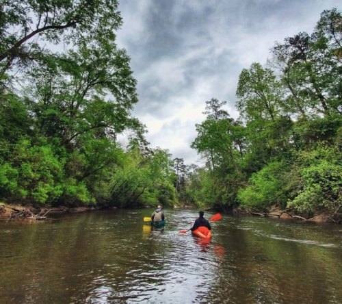 Two people kayaking on a calm river surrounded by lush green trees under a cloudy sky.