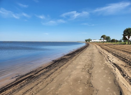 A sandy beach stretches along a calm shoreline under a clear blue sky, with palm trees in the background.