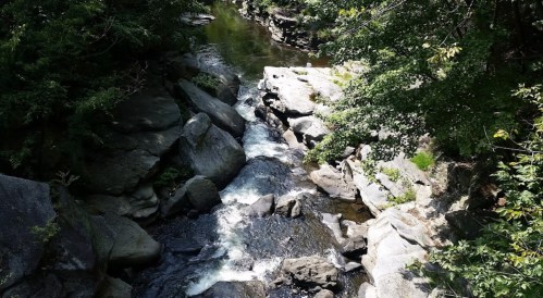 A serene river flows over rocks, surrounded by lush greenery and trees, creating a peaceful natural scene.