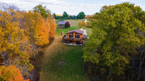 Aerial view of a modern house surrounded by vibrant autumn trees and a grassy area, with scattered fallen leaves.