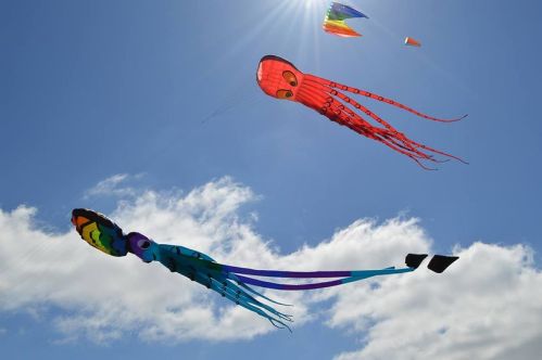 Colorful kites shaped like octopuses flying against a bright blue sky with fluffy clouds.