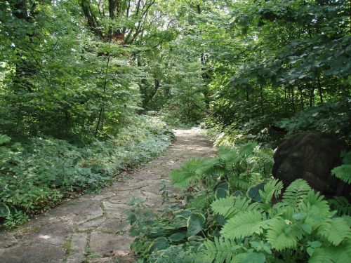A stone pathway winds through a lush green forest, surrounded by ferns and trees, with a lion statue partially visible.