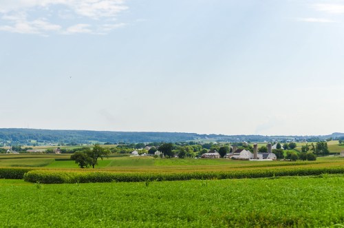 A scenic view of green farmland with fields, trees, and distant white barns under a clear blue sky.