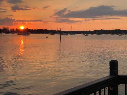 A serene sunset over a calm harbor, with boats anchored and reflections shimmering on the water.