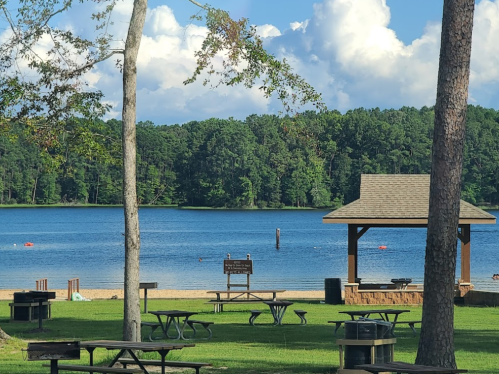 A serene lake view with picnic tables, a gazebo, and lush green trees under a blue sky with fluffy clouds.