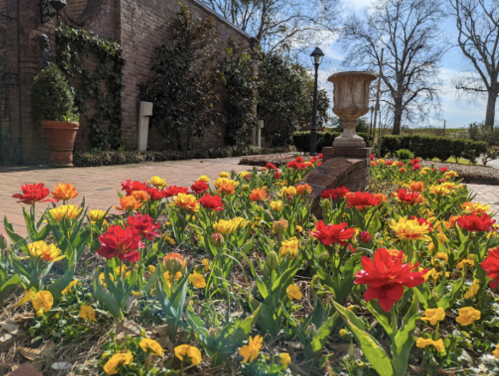 A vibrant garden with red and yellow flowers in bloom, surrounded by greenery and a decorative urn.
