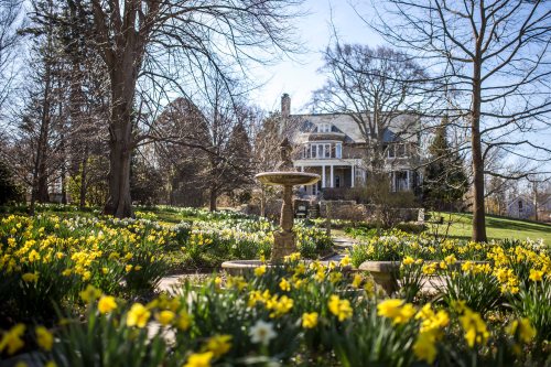 A beautiful garden with yellow daffodils and a fountain, featuring a large house in the background under a clear blue sky.