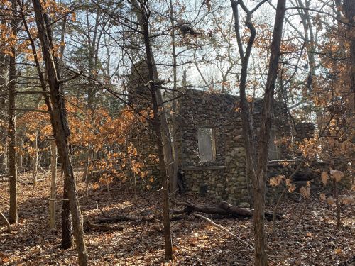 A stone ruin surrounded by trees and autumn leaves, with sunlight filtering through the branches.