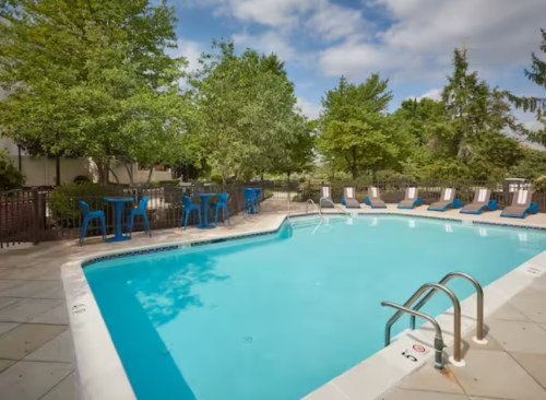 A clear blue swimming pool surrounded by green trees and lounge chairs on a sunny day.