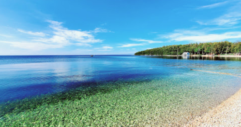 A serene lake with clear blue water, a sandy shore, and lush green trees lining the horizon under a bright blue sky.