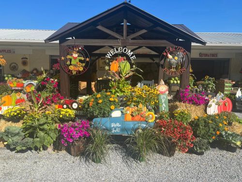 A vibrant fall display with pumpkins, flowers, and decorations under a wooden shelter, welcoming visitors.