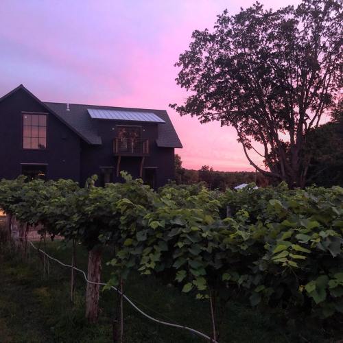 A dark house beside a vineyard at sunset, with pink and purple skies and a large tree in the background.