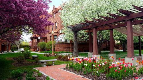 A vibrant garden with blooming trees and colorful tulips, featuring a historic building in the background.