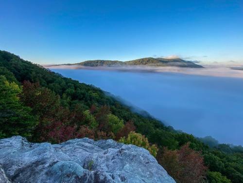 A scenic view of rolling hills covered in fog, with a clear blue sky above and colorful trees in the foreground.