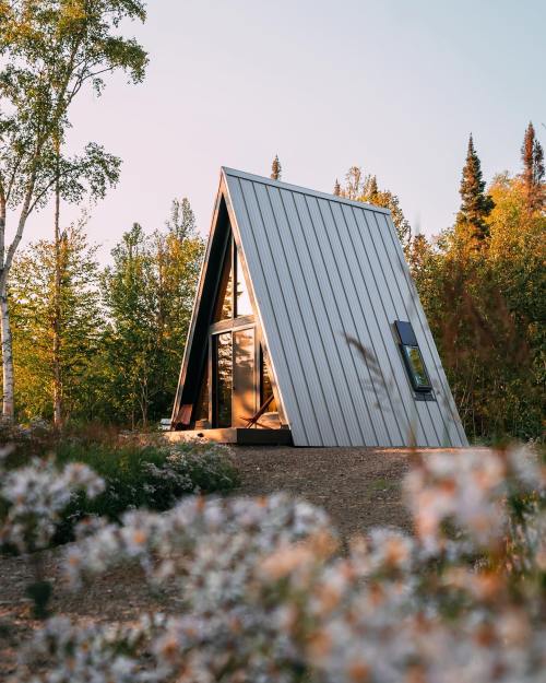 A modern A-frame cabin surrounded by trees and wildflowers, with large windows reflecting the natural landscape.