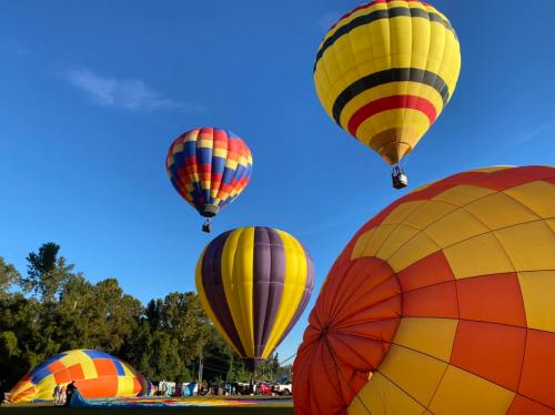 Colorful hot air balloons ascend against a clear blue sky, with more balloons on the ground in the background.