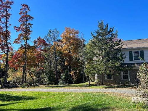 A sunny day at a house surrounded by colorful autumn trees and a clear blue sky.